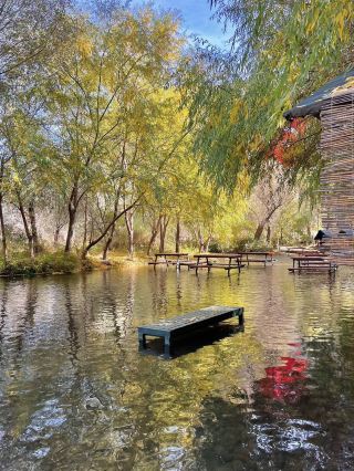 ✨ 個人的な旅行体験 – ウフララ渓谷の旅 🌿🏞️