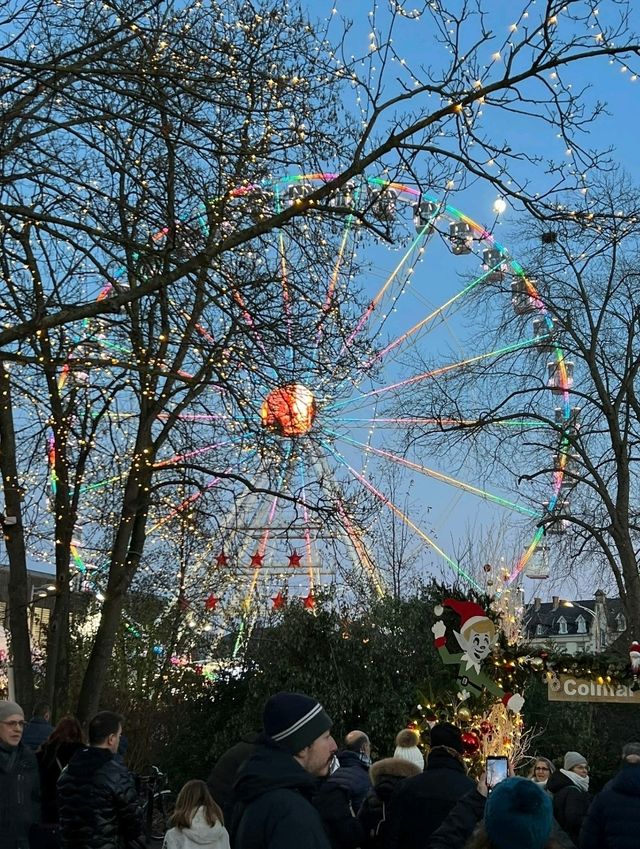 Colmar at Christmas is a living Alsatian fairytale! ⛄✨ Colmar at Christmas is a living Alsatian fairytale! ⛄✨