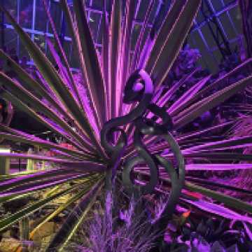 Muttart Conservatory