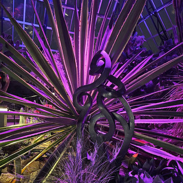 Muttart Conservatory Muttart Conservatory