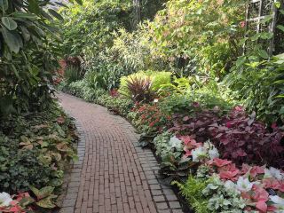 สวนลองวูด