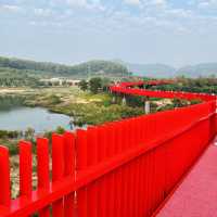 Lady in Red 📍Red Ribbon Bridge, Shenzhen. 