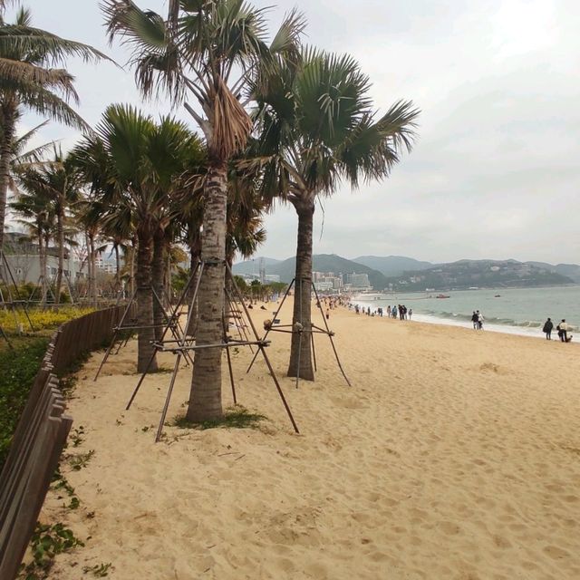 Sand Sculpture-Free Beach Dameisha Shenzhen 