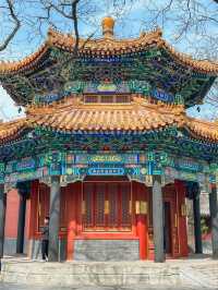 Lama Temple 