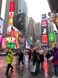 New York Times Square day trip!