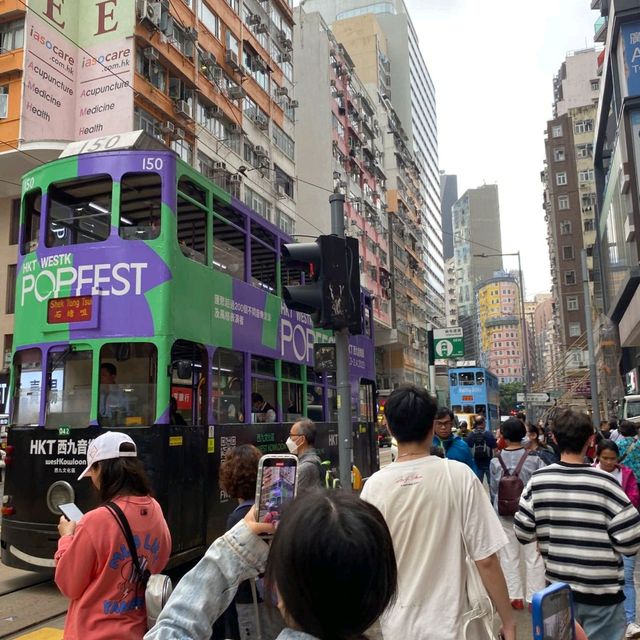 Tram Fest 🚊