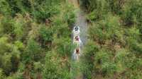 Guangdong's most beautiful karst landform check-in spot, Yingxi Peak Forest travel guide.