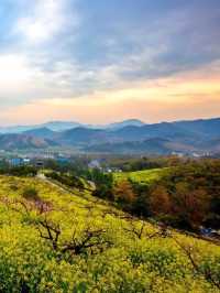 Changxing Taojiawu Rural Hotel, even ten miles of peach forest can't hide it!