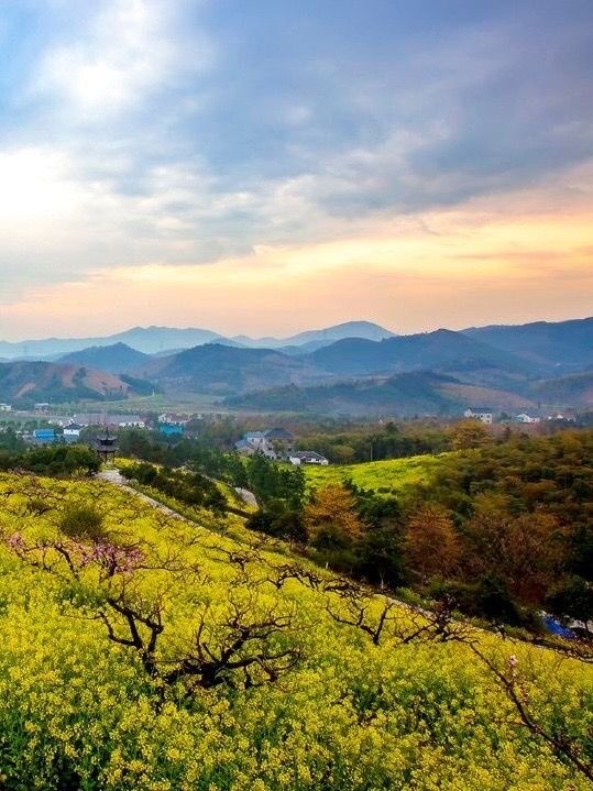 Changxing Taojiawu Rural Hotel, even ten miles of peach forest can't hide it!