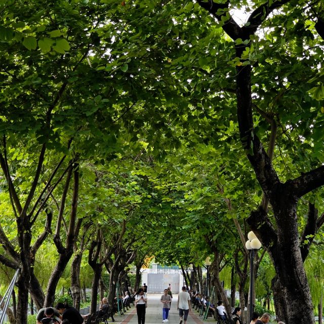 放假去邊玩❓短途遊玩好推薦🏞️『廣州•東山湖公園』