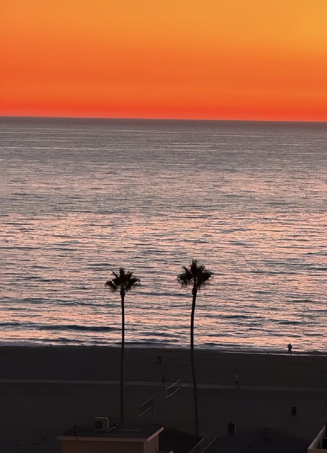 加州的盡頭是大海愛心棕樹打卡成功啦