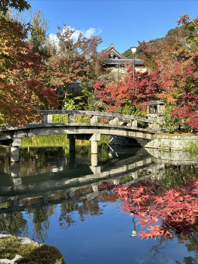 京都紅葉祭永觀堂