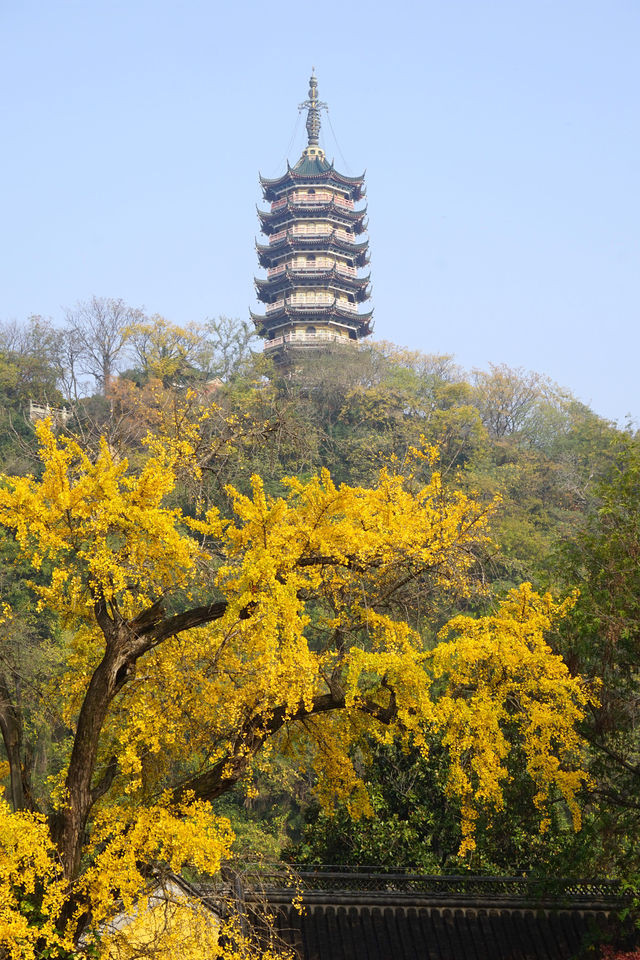 焦山，以山水天成，古樸幽雅聞名於世