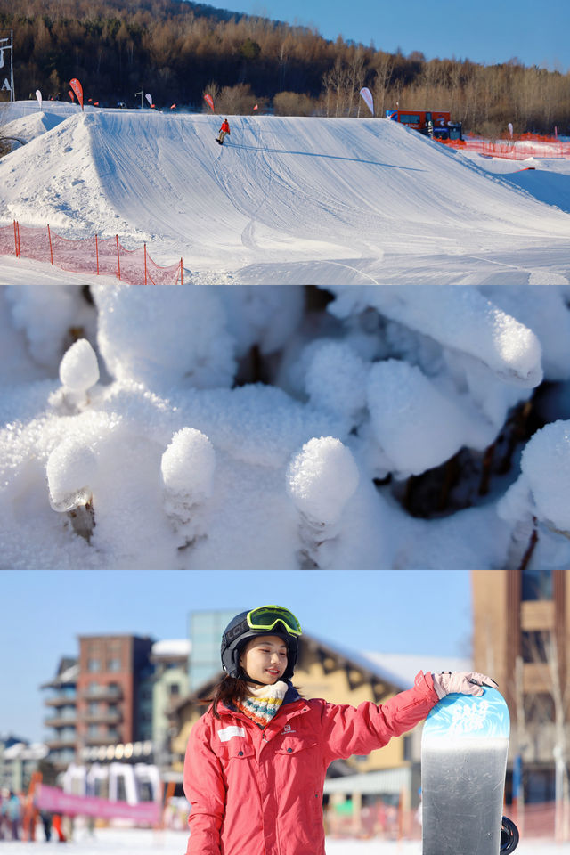 東北滑雪｜這就是童話裡的冰雪森林吧