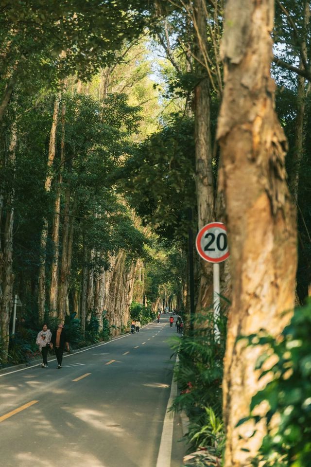 福州國家森林公園的遊玩推薦