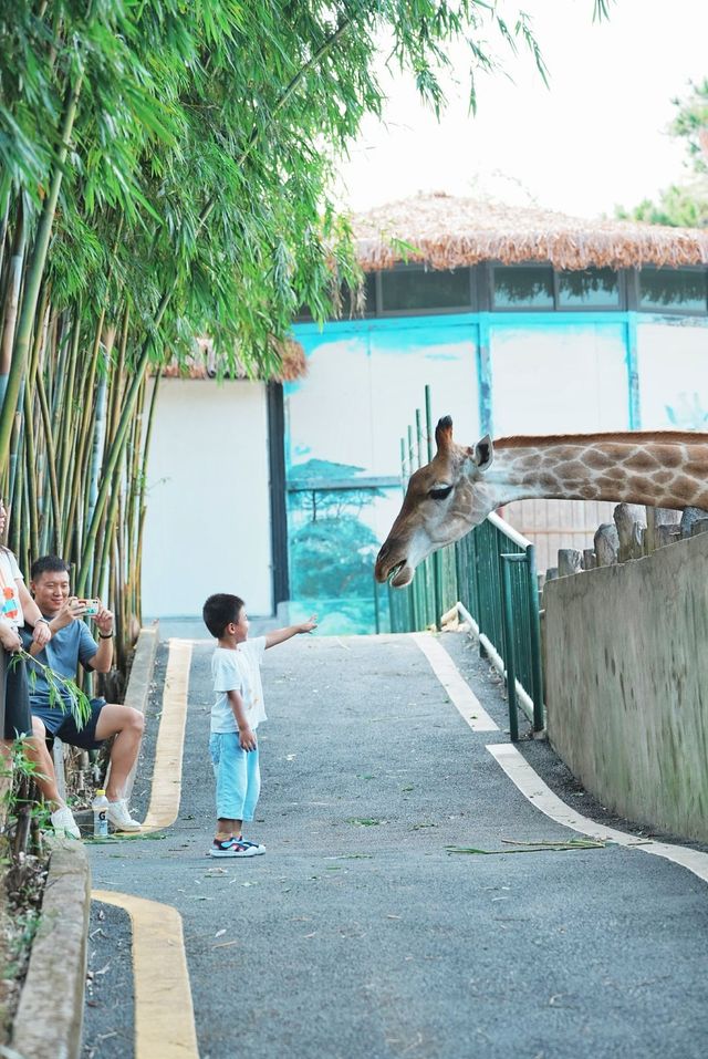 中山遊玩｜寶藏紫馬嶺動物園