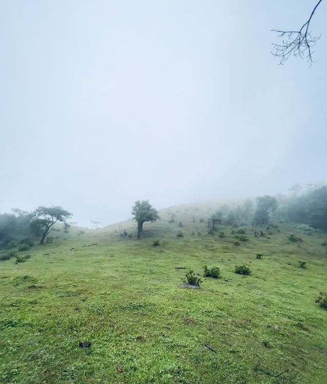 廣東景點-雲浮八排山