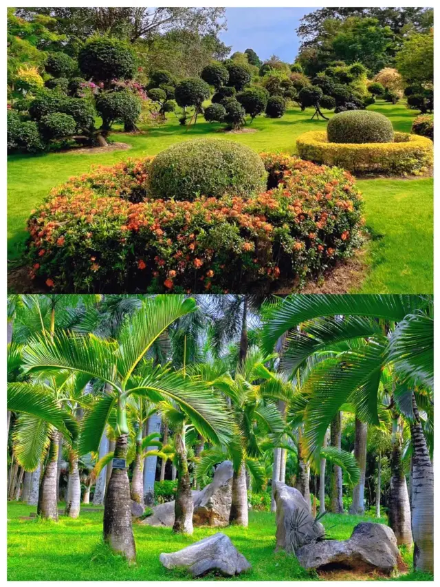 Xishuangbanna Tropical Flower Garden