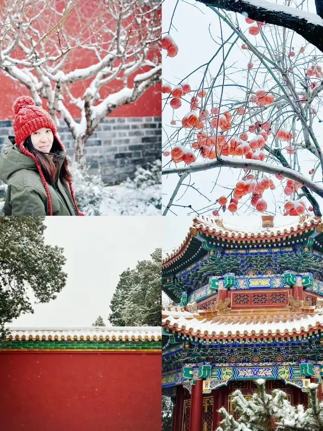 베이징에서 눈이 왔어요! 궁전을 예약하지 못하면 경산에서 눈을 즐기러 오세요! 번개를 피하는 가이드가 첨부되어 있습니다!