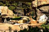 如何玩轉聖地牙哥野生動物園，景點介紹和遊玩指南