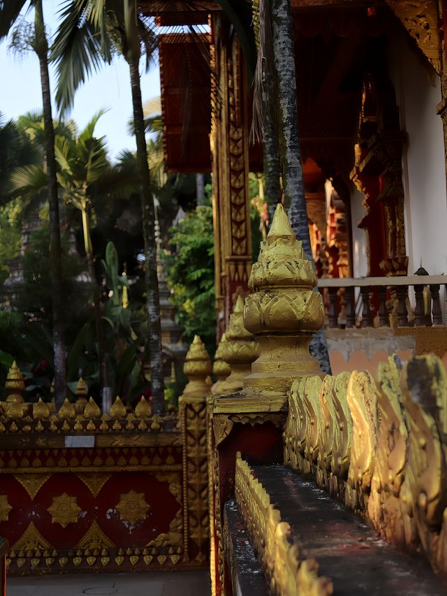 西雙版納總佛寺||邂逅千年佛光，探秘傣族文化秘境