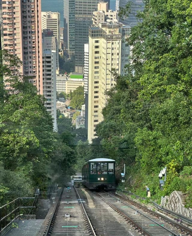 太平山頂／美