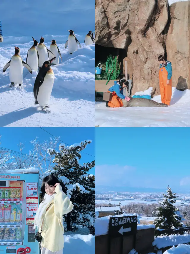 日本北海道最不可錯過的景點旭山動物園親子遊情侶出遊絕佳去處