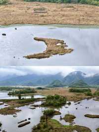 神農架丨總要來一趟大九湖吧，人間山水畫