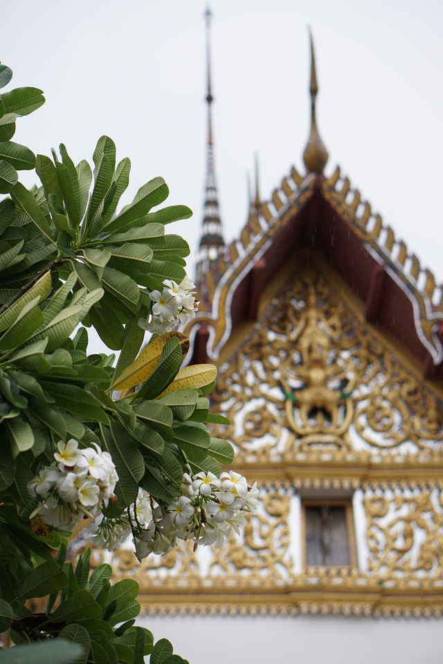 曼谷拍照｜一站走遍泰國的暹羅古城保姆級攻略