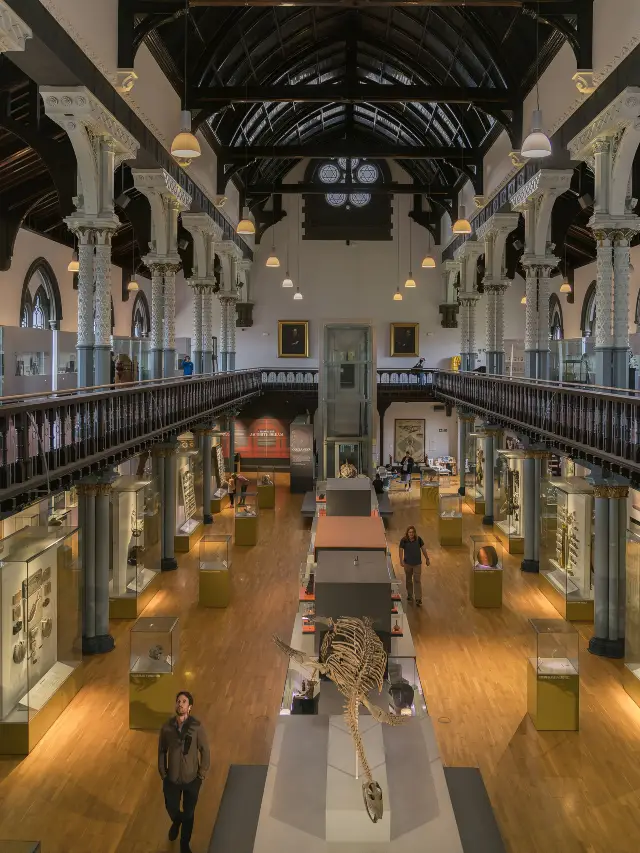 A person travels all over the UK—Glasgow Museum