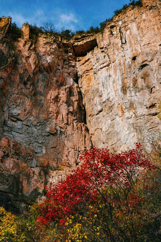 可能是莊裡最輕鬆的賞紅葉方式了定位：平山沕沕水空中畫
