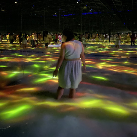 TeamLab Planets: Art, Tech, Nature Colliding | Trip.com Tokyo