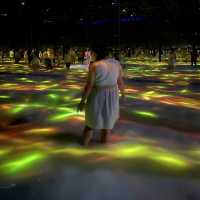 TeamLab Planets: Art, Tech, Nature Colliding 