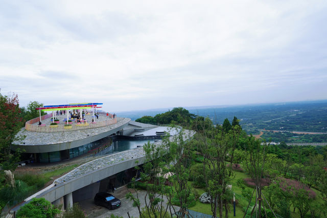 成都的森林高空棧道免費開放啦，帶上喜歡的人一起去雲中漫步吧