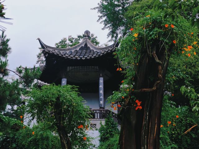 嘹塞鴻經楚澤，淺深紅樹見揚州