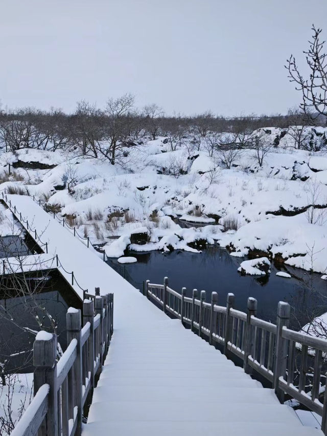 黑龍江五大連池溫泊，東北雪景真的不要太美！