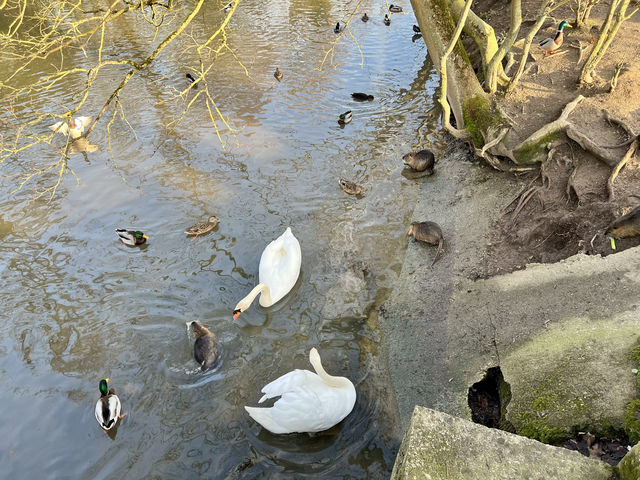 春天來到尼達公園了