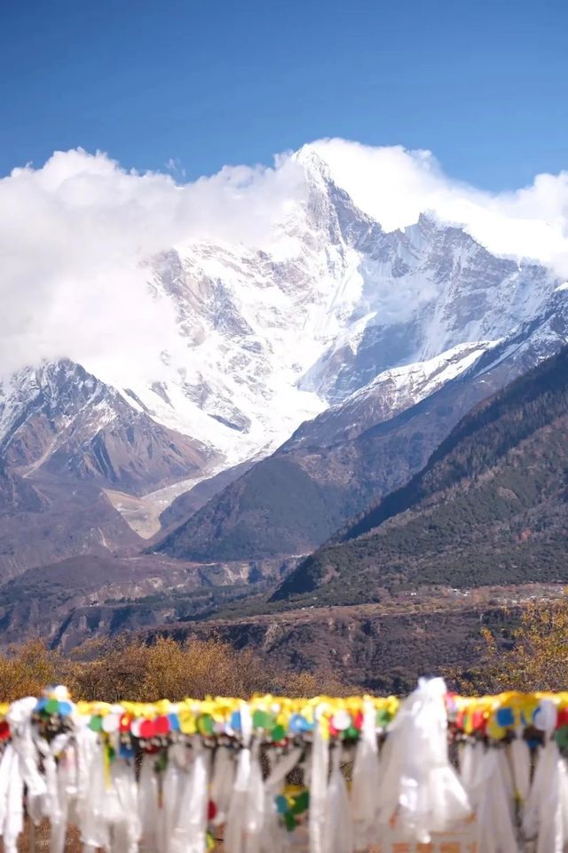 西藏林芝尼洋河濕地