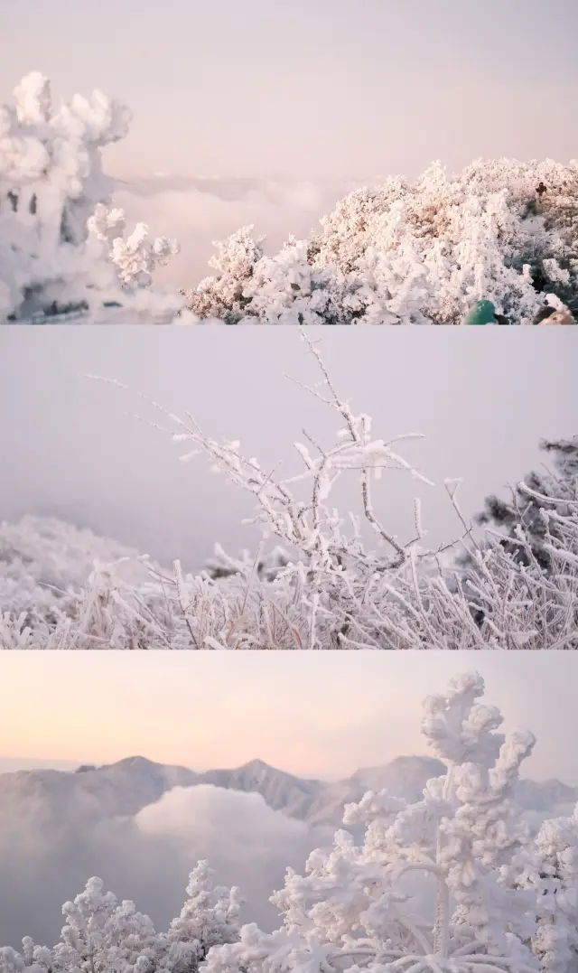 Lin'an, known for the most beautiful snow scenery in Hangzhou, there's really no need to go to the northeast!! Super cost-effective