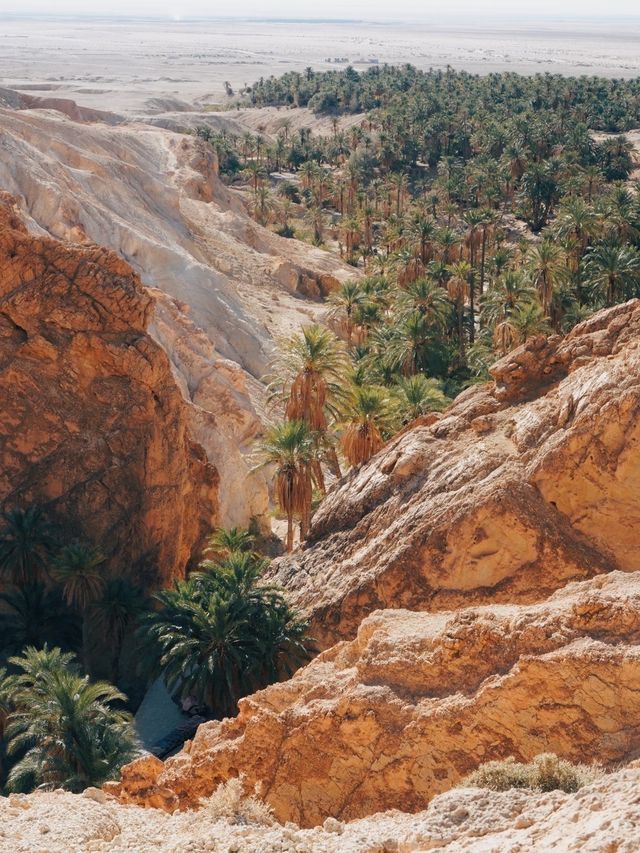突尼斯沙漠門戶，托澤爾的浪漫與綠洲奇觀