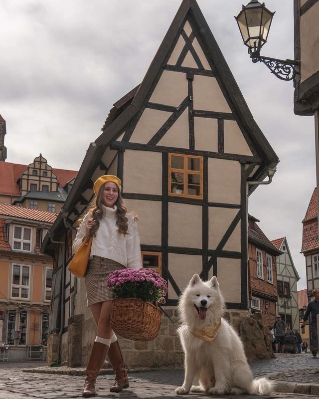 TOP 10 PLACES IN THE HARZ MOUNTAINS, GERMANY 🇩🇪