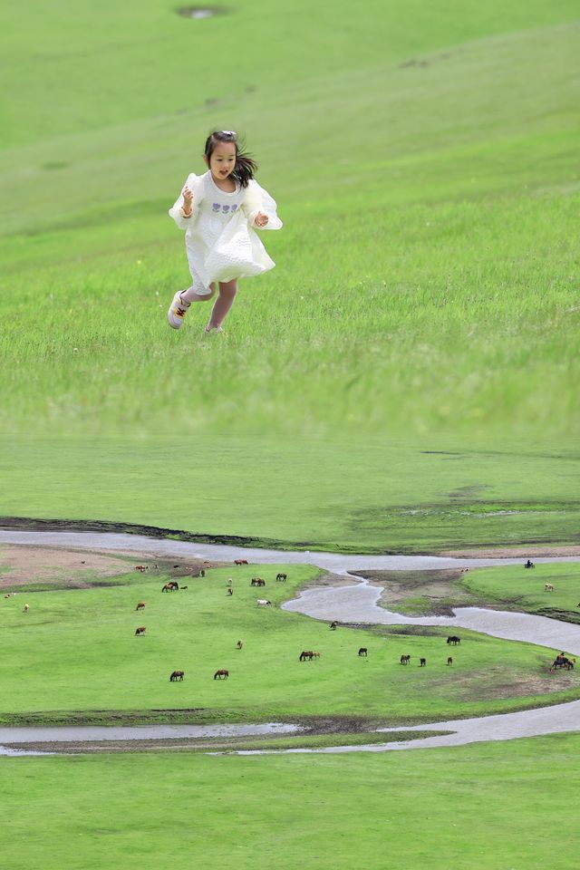 內蒙古呼倫貝爾大草原旅遊必打卡莫日格勒河