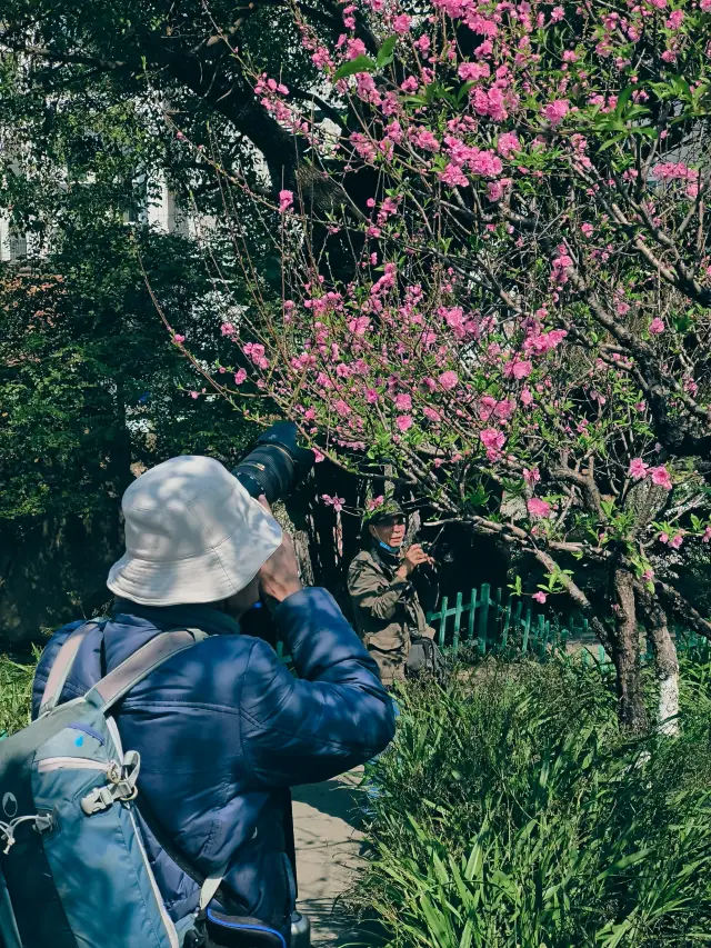 우산 풍경구, 꽃 구경하기 좋은 곳