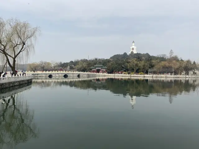 春暖花開、北京の北海公園は絶好のチェックインスポットです