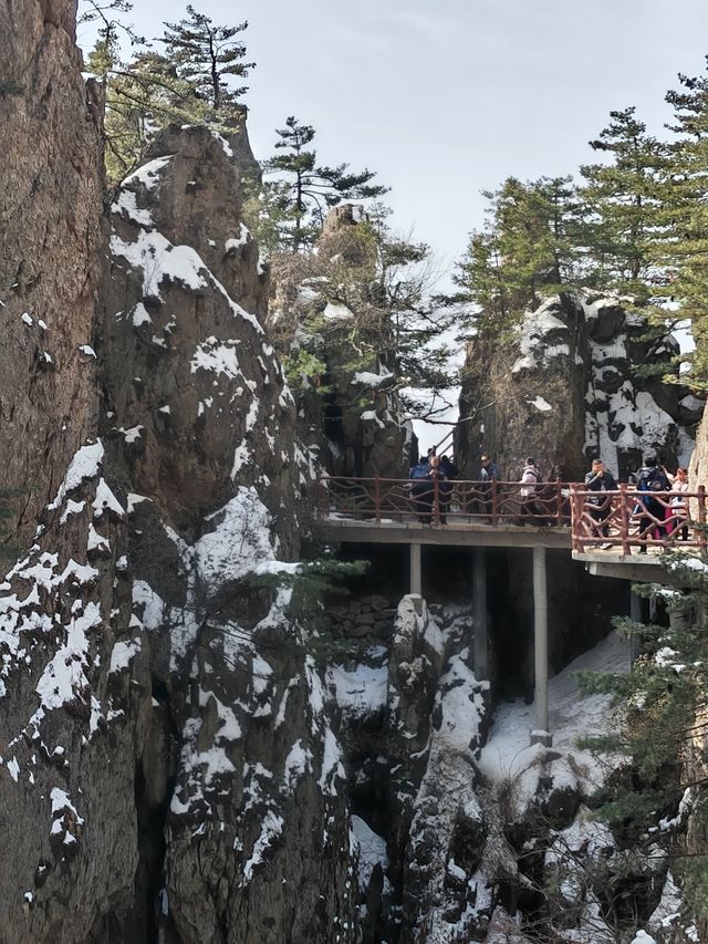 3月的老君山