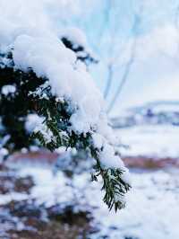 在宜春遇見最美的雪景！