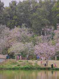 植物園 | 鏡頭下的春和景明