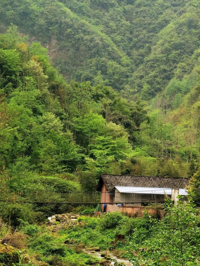 探尋大邑馬橋村