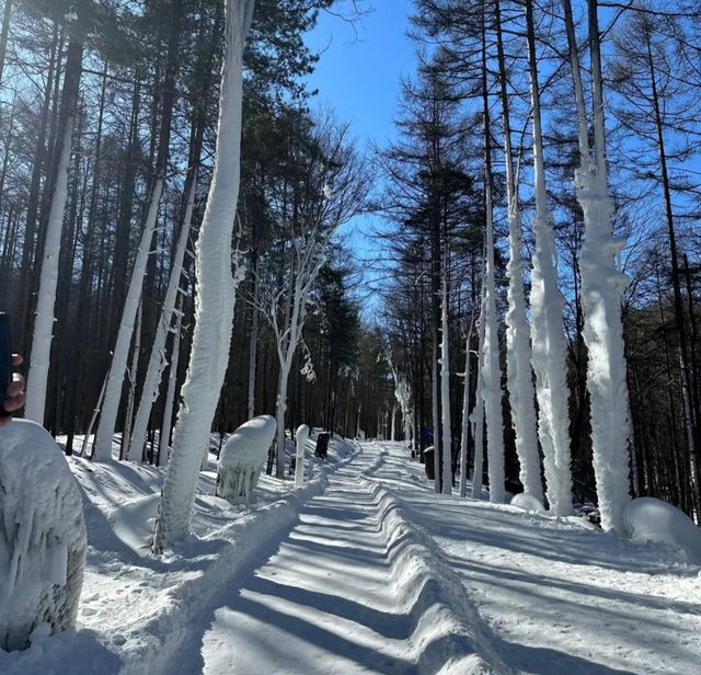 千萬不要去陽白雲山