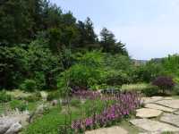 鮮花山谷——登高雲山·雲谷花境